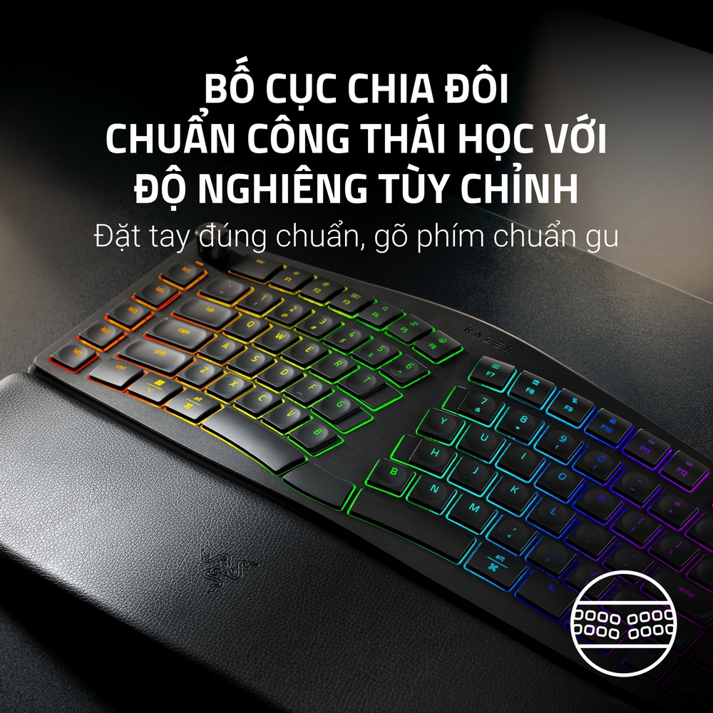 B&agrave;n ph&iacute;m Razer Pro Type Ergo Wireless