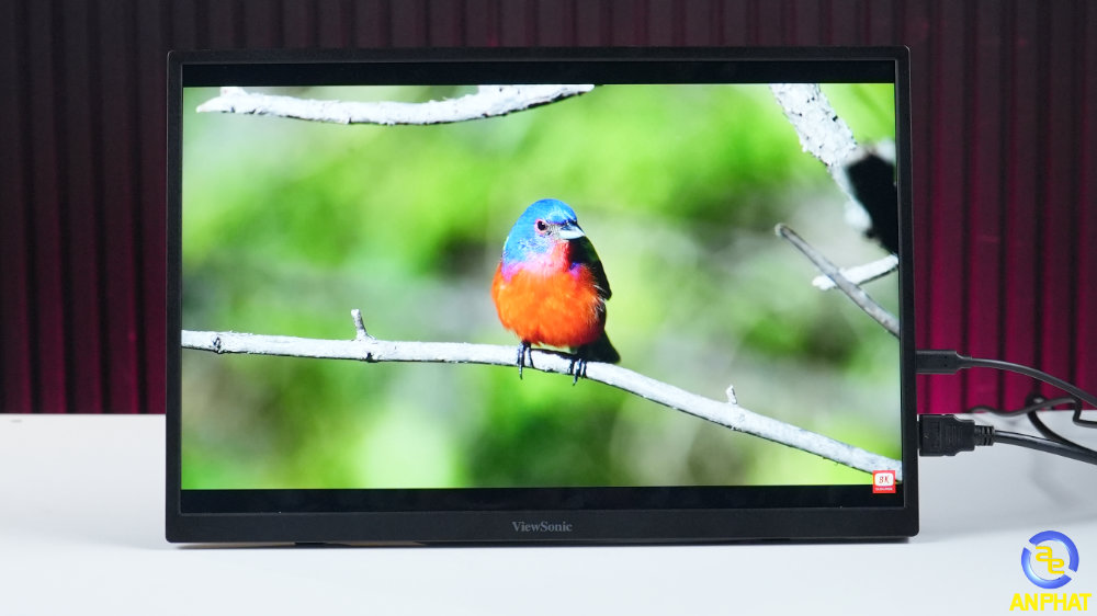 M&agrave;n h&igrave;nh di động động cảm ứng ViewSonic TD1617A-2K