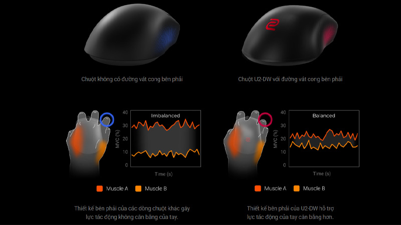 Chuột Zowie U2-DW Wireless