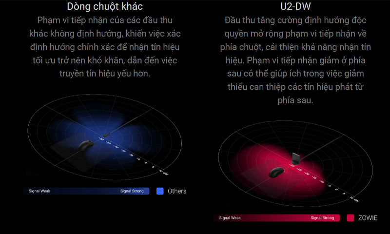 Chuột Zowie U2-DW Wireless