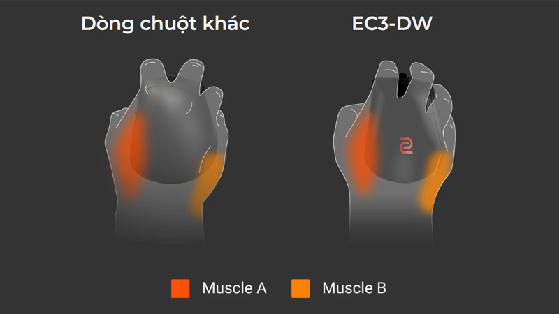 Chuột Zowie EC3-DW Wireless