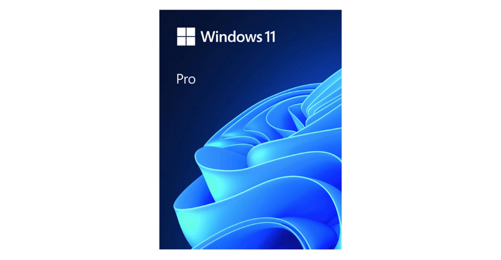 HỆ ĐIỀU HÀNH WINDOWS 11 PRO FPP 64-BIT ENG INTL USB (HAV-00163)