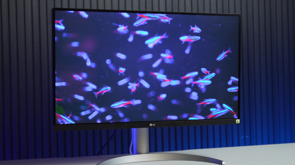 Review LG 27UP850K-W: Màn 4K -Sắc Nét Từng Chi Tiết