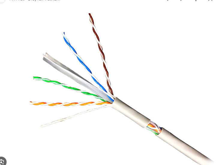 Cable Mạng DINTEK CAT.6 UTP 100m (1101-04063)