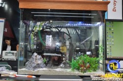 APC Aquarium PC For Gamer - Bộ máy tính Bể cá cho Game Thủ