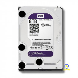 WD Purple Pro WD121PURP - Disque dur - 12 To - interne - 3.5 - SATA 6Gb/s  - 7200 tours/min - mémoire tampon : 256 Mo - Disques durs internes - Achat  & prix