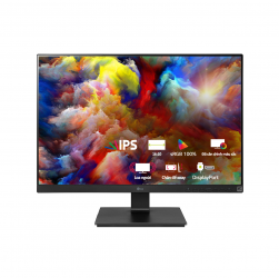 Màn hình máy tính LG 25BL55WY-B 25 inch FHD 