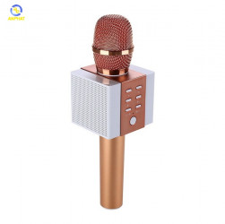 Mic Karaoke TOSING T008