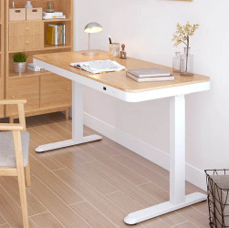 Bàn Công Thái Học Nâng Hạ Chiều Cao Có Cổng Sạc ET119W-C