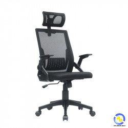 Ghế công thái học ergonomic E-Dra EEC218