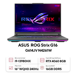 Laptop Asus ROG Strix G16 G614JV N4261W (Intel Core i9-13980HX | RTX 4060 |16GB | 1TB |  16 inch WQHD 240Hz | Win 11 | Xám)