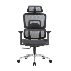 Ghế công thái học ergonomic E-Dra EEC220 Black