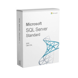 Phần Mềm Microsoft SQL Server 2022 -1 User CAL