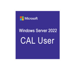 Phần mềm Microsoft Windows Server 2022 - 1 Device CAL