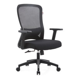 Ghế công thái học ergonomic E-Dra EEC221 Black