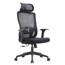 Ghế công thái học ergonomic E-Dra EEC222 Black