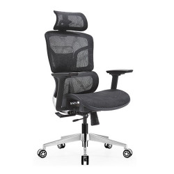 Ghế công thái học ergonomic E-Dra EEC223 Black