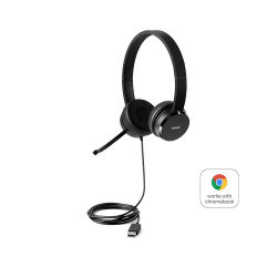 Lenovo 100 Stereo USB Headset 4XD0X88524