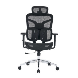 Ghế công thái học ergonomic E-Dra EEC226