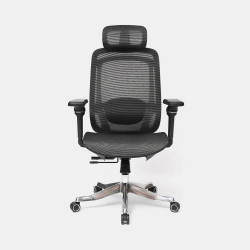 Ghế công thái học ergonomic HyperWork Airy Pro (Tay 4D)