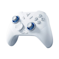 Tay cầm game FLYDIGI Direwolf 4