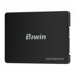 Ổ cứng SSD BIWIN 256GB M100 2.5'' SATA III - BM100NN256G-RGX 