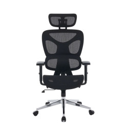 Ghế công thái học ergonomic E-Dra EEC229