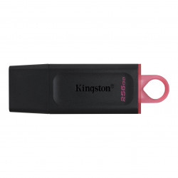 Usb Kingston DataTraveler 256GB USB 3.2 Exodia  (DTX/256GB)