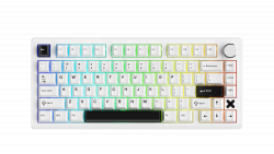 Bàn phím cơ DareU FLEX White Black Pegasus switch