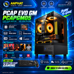 PC GAMING PCAP EVO GM STARTER RADEON 740M  / AMD Ryzen 5 8500G / RAM 16GB / SSD 256GB / FreeDOS / PCAPGM05