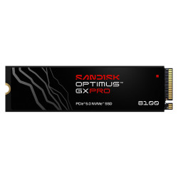 Ổ cứng SSD Sandisk Optimus GX Pro 8100 2TB M.2 NVMe M.2 2280 PCIe Gen5.0 x4 (SDSP82200TAN)