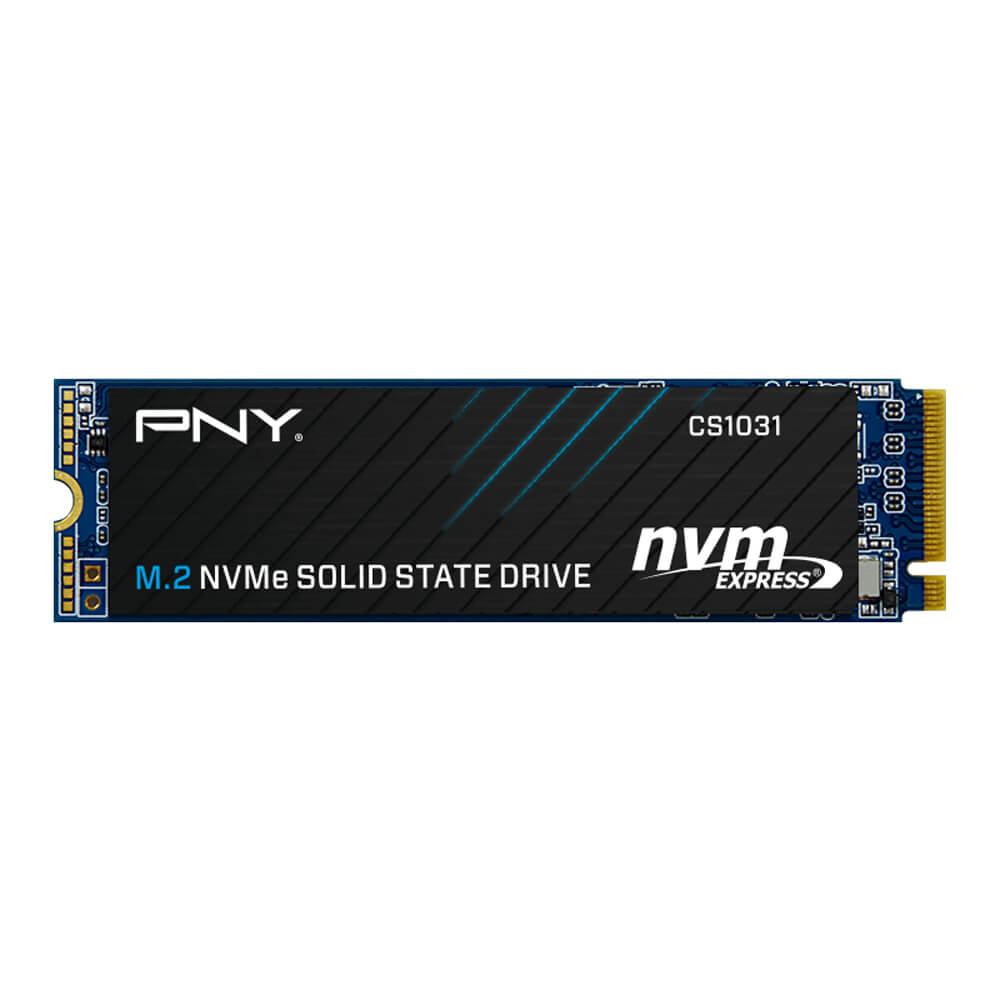 Ổ cứng SSD PNY CS1031 256GB NVMe M.2 2280 PCIe Gen 3.0 x4 (M280CS1031-256-CL)