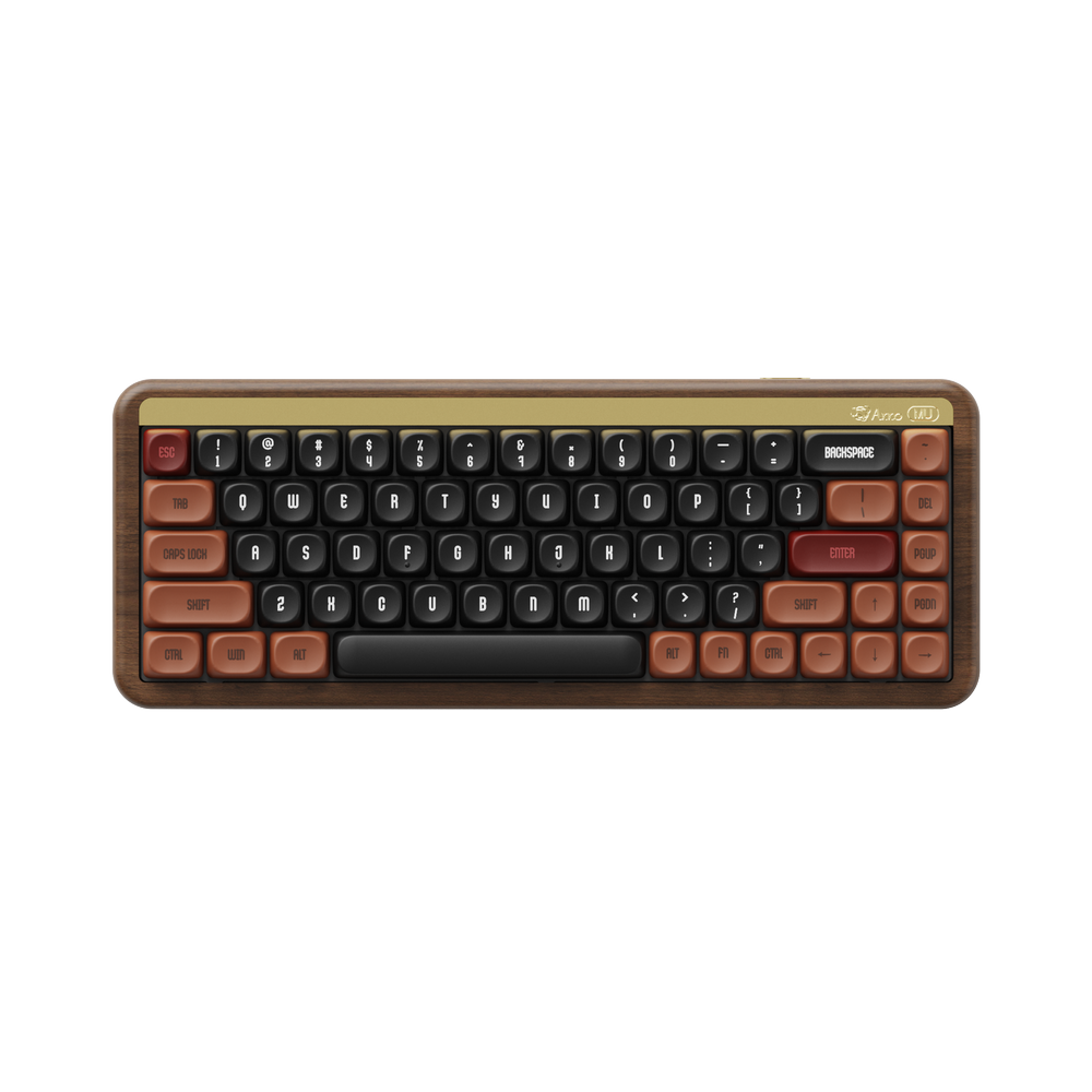 BÀN PHÍM CƠ AKKO MU01 AUTUMN MULTI-MODES AKKO X TTC DEMON SWITCH